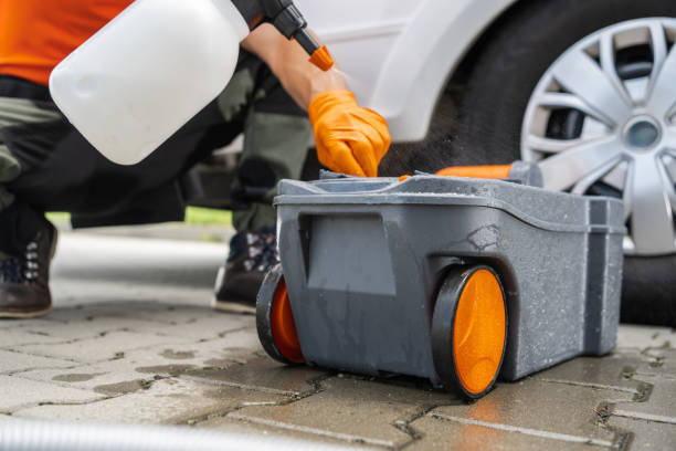 How Our Tree Care Process Works  in  Bradley, IL